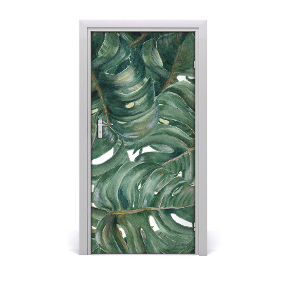 Dörrtapet Monstera