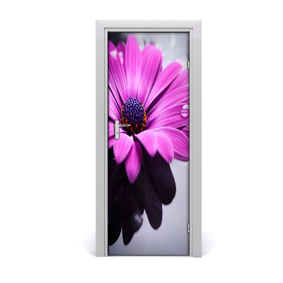 Dörrklistermärke Rosa gerbera