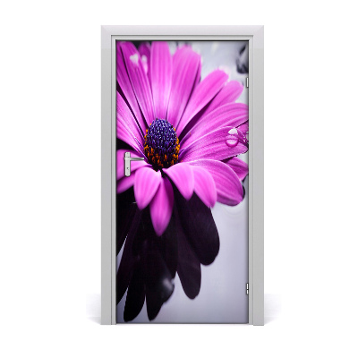 Dörrklistermärke Rosa gerbera