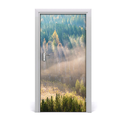 Dörrtapet Dimma över skogen