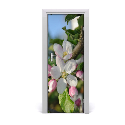 Dörrklistermärke körsbärsblommor
