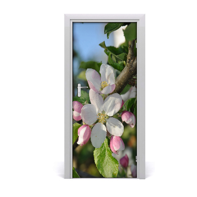 Dörrklistermärke körsbärsblommor