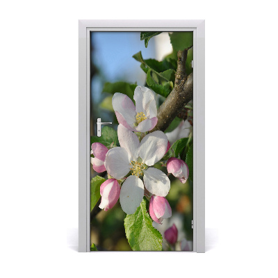 Dörrklistermärke körsbärsblommor