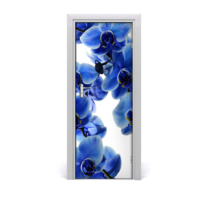 Fototapet på dörr orkidé blomma