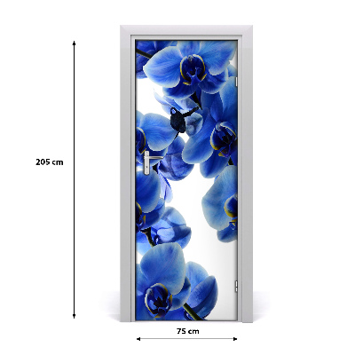 Fototapet på dörr orkidé blomma