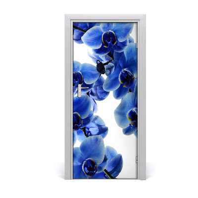 Fototapet på dörr orkidé blomma