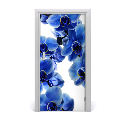 Fototapet på dörr orkidé blomma