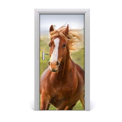 Självhäftande dörrklistermärke Häst i galopp