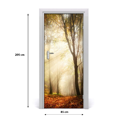 Fototapet på dörr Skog på hösten