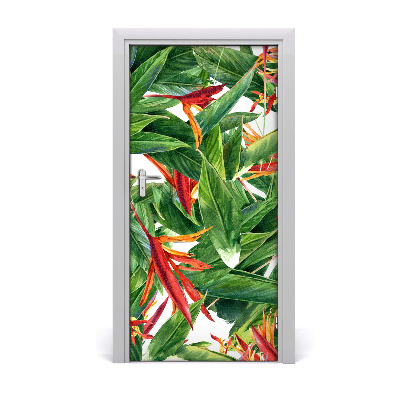 Fototapet dörr Strelitzia kunglig
