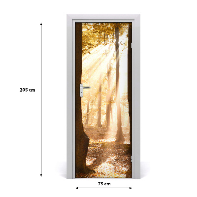 Fototapet på dörr Skog på hösten
