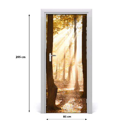 Fototapet på dörr Skog på hösten