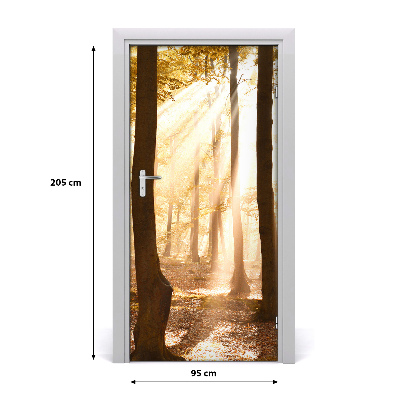 Fototapet på dörr Skog på hösten