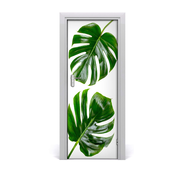 Fototapet dörr Monstera