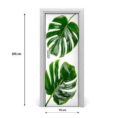 Fototapet dörr Monstera