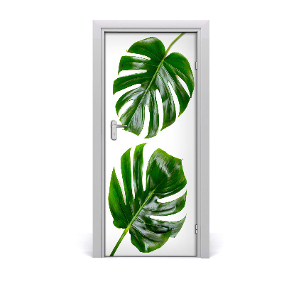 Fototapet dörr Monstera