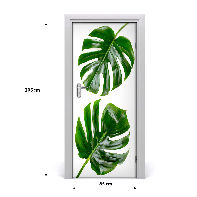 Fototapet dörr Monstera