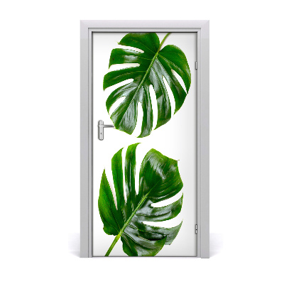 Fototapet dörr Monstera