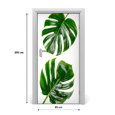 Fototapet dörr Monstera