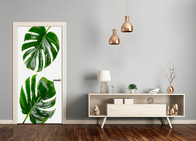 Fototapet dörr Monstera