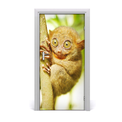 Dörrtapet En spöklik tarsier