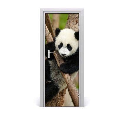 Självhäftande dörrklistermärke Panda på ett träd