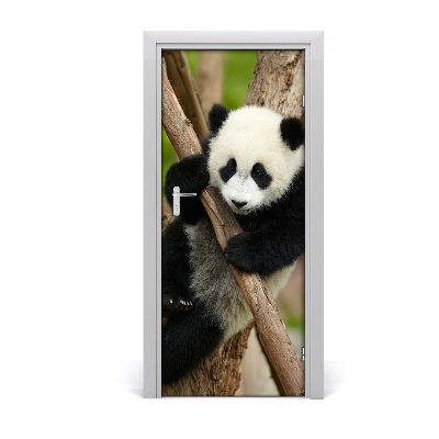 Självhäftande dörrklistermärke Panda på ett träd