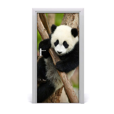 Självhäftande dörrklistermärke Panda på ett träd