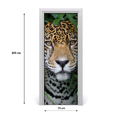 Fototapet dörr Jaguar i Amazon