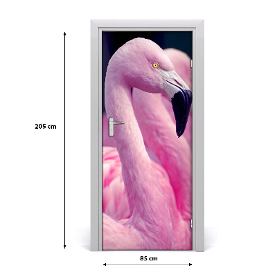 Fototapet på dörr Flamingos