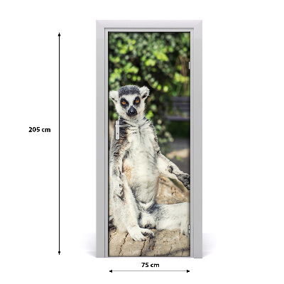 Dörrtapet Lemur