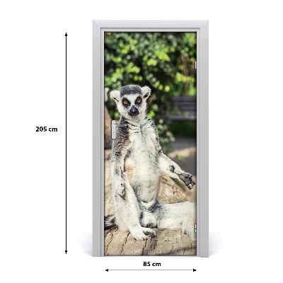 Dörrtapet Lemur