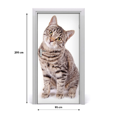 Fototapet dörr Katt