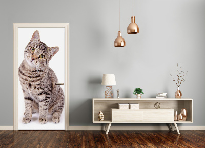 Fototapet dörr Katt