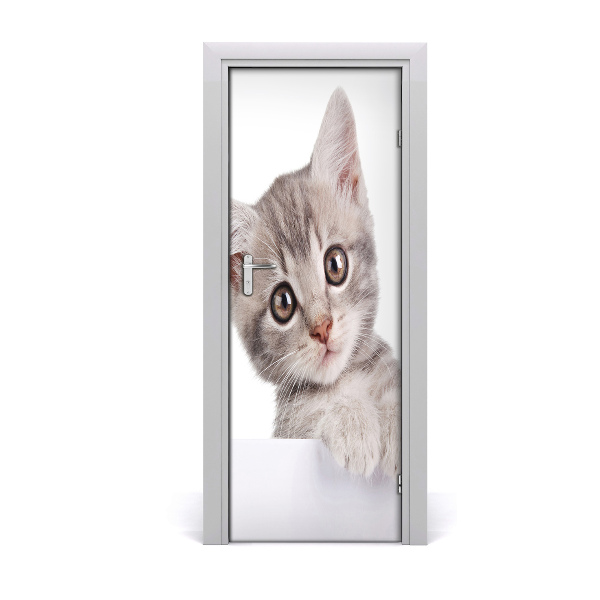 Självhäftande dörrklistermärke Grå katt