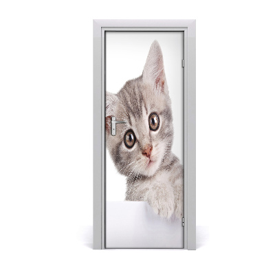 Självhäftande dörrklistermärke Grå katt