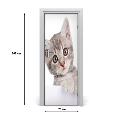 Självhäftande dörrklistermärke Grå katt