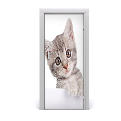 Självhäftande dörrklistermärke Grå katt