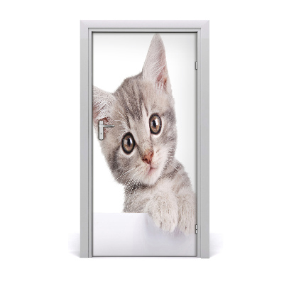 Självhäftande dörrklistermärke Grå katt