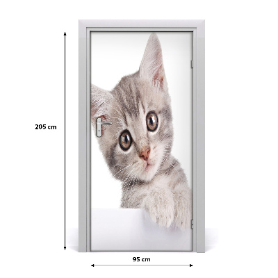 Självhäftande dörrklistermärke Grå katt