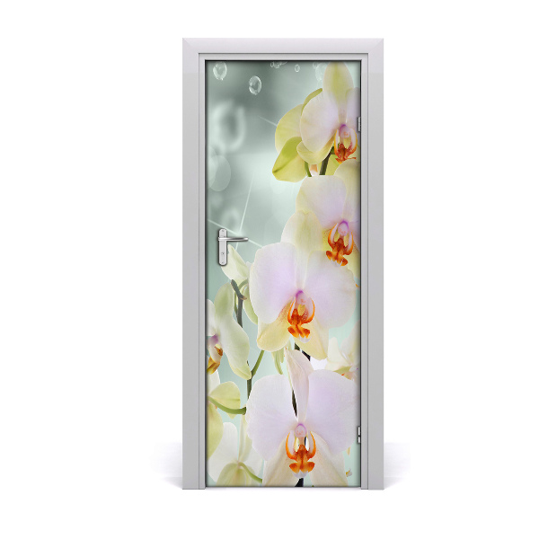 Dörrtapet på dörren Orchid