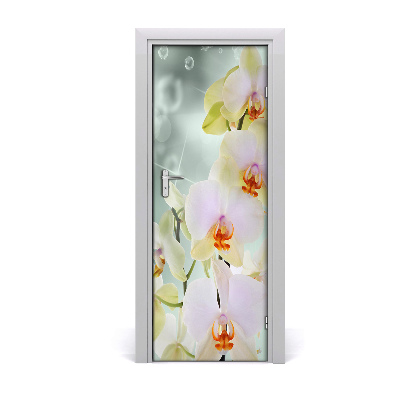 Dörrtapet på dörren Orchid