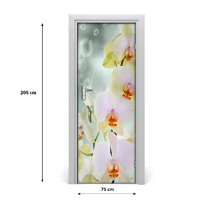Dörrtapet på dörren Orchid