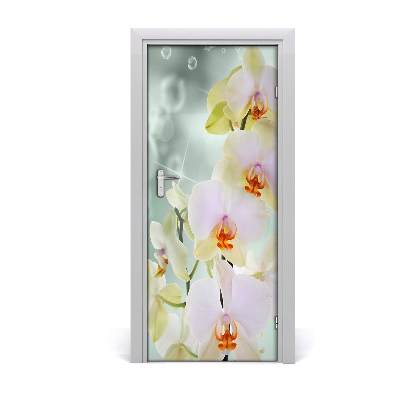 Dörrtapet på dörren Orchid