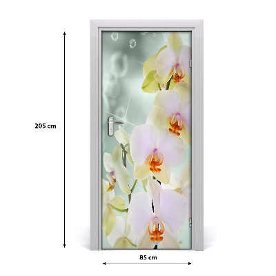 Dörrtapet på dörren Orchid