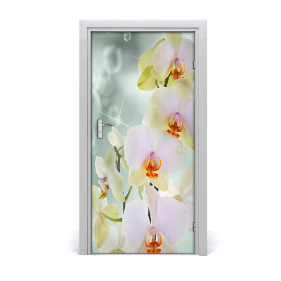 Dörrtapet på dörren Orchid
