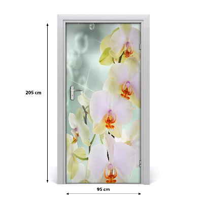 Dörrtapet på dörren Orchid