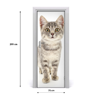 Självhäftande dörrklistermärke Grå katt