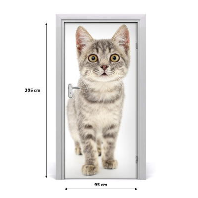 Självhäftande dörrklistermärke Grå katt