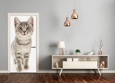 Självhäftande dörrklistermärke Grå katt